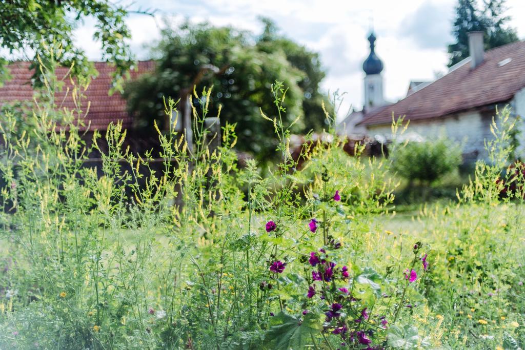Historischer Pfarrhof Niederleierndorf Langquaid Eksteriør bilde